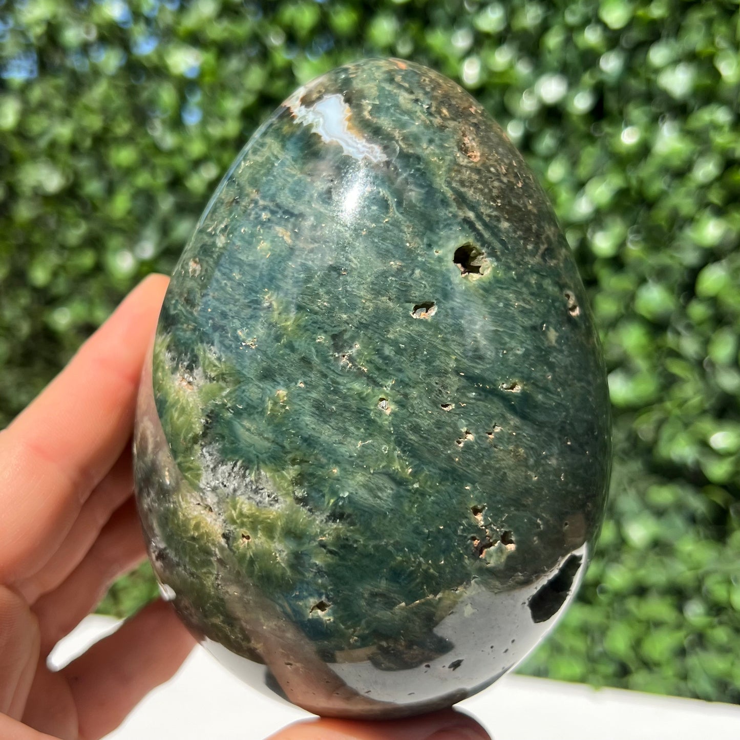 Ocean Jasper Egg