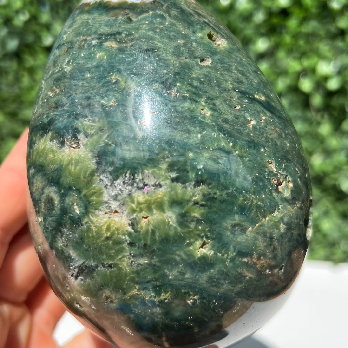 Ocean Jasper Egg