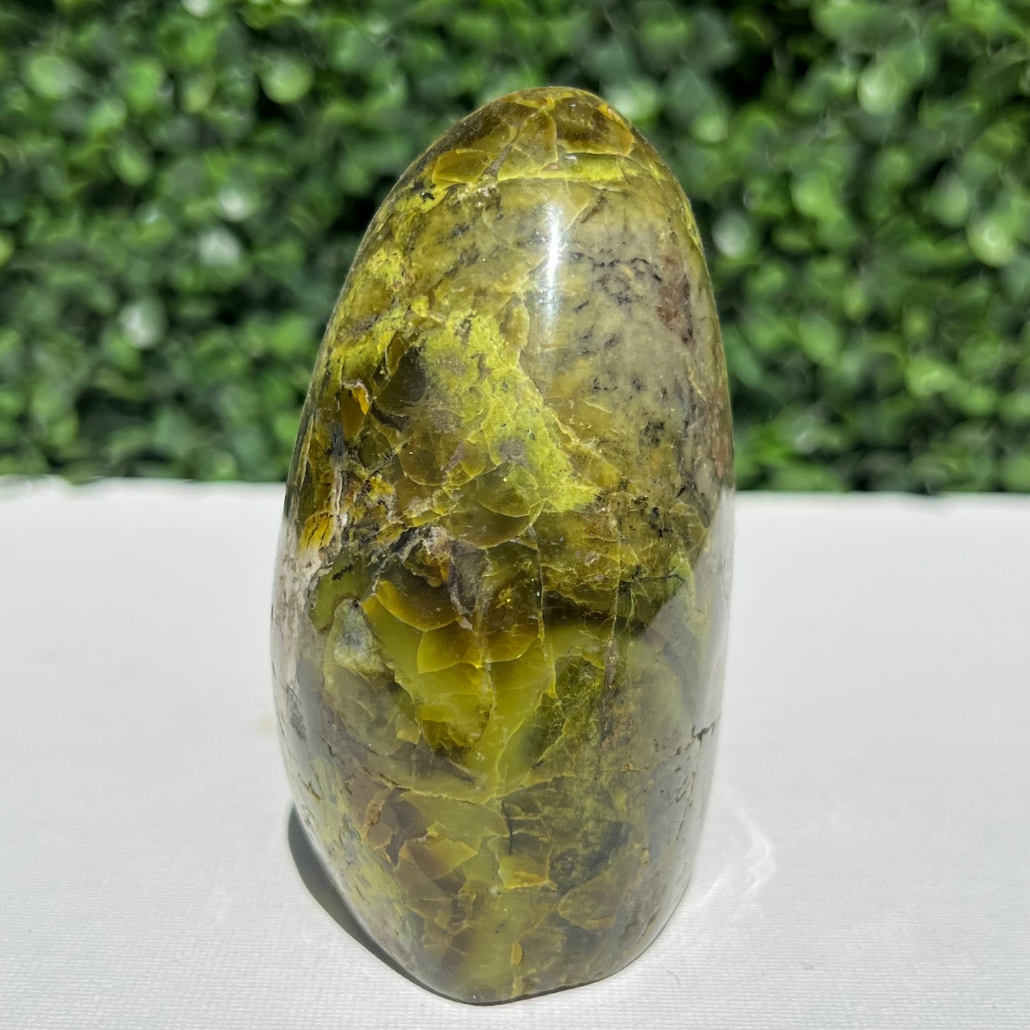 Kiwi Opal Free Form