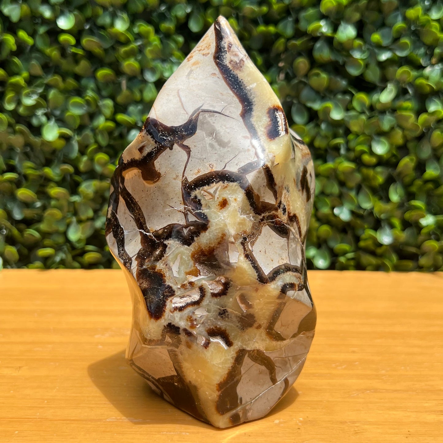 Septarian Yellow Calcite Flame