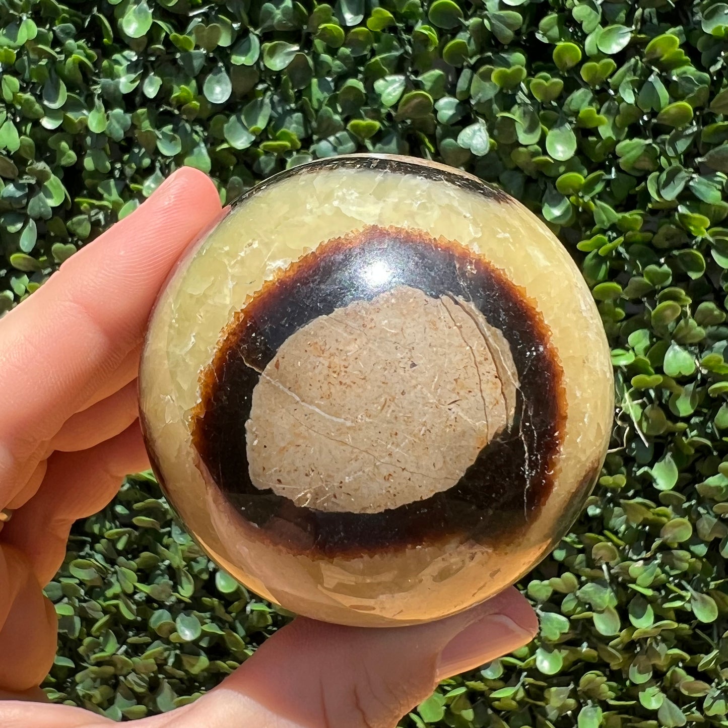 Septarian Yellow Calcite Sphere