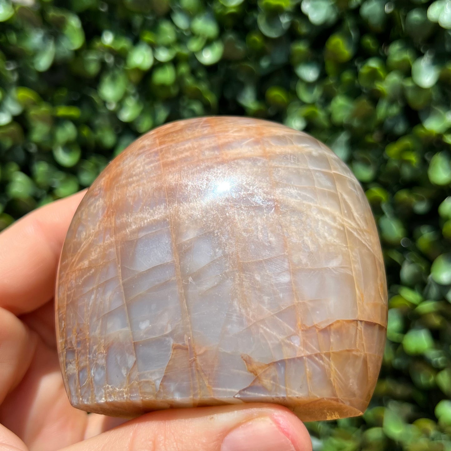 Peach Moonstone Free Form