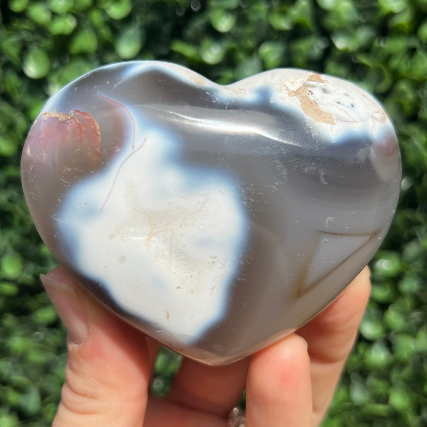 Orca Agate Heart