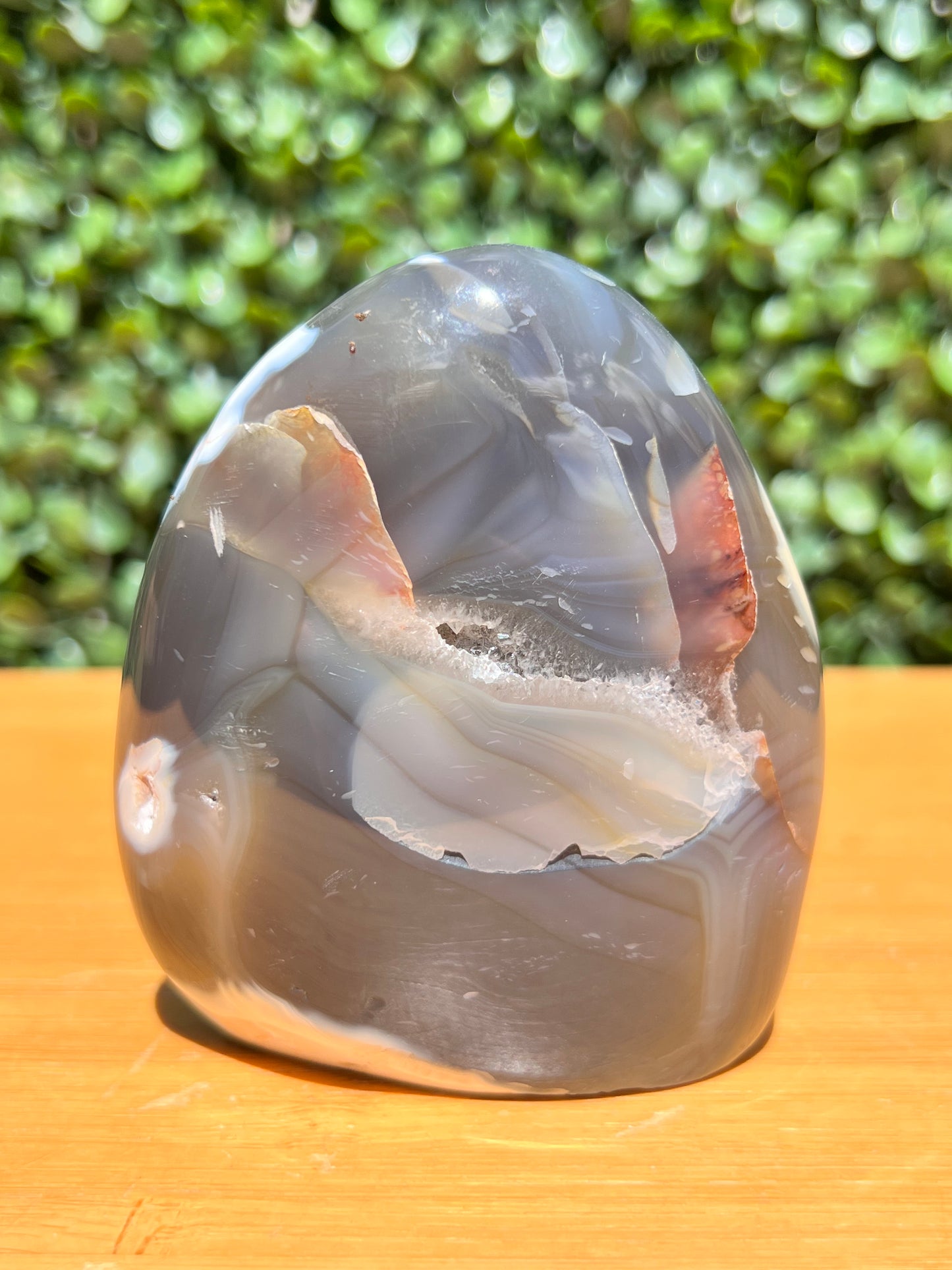 Orca Agate Free Form