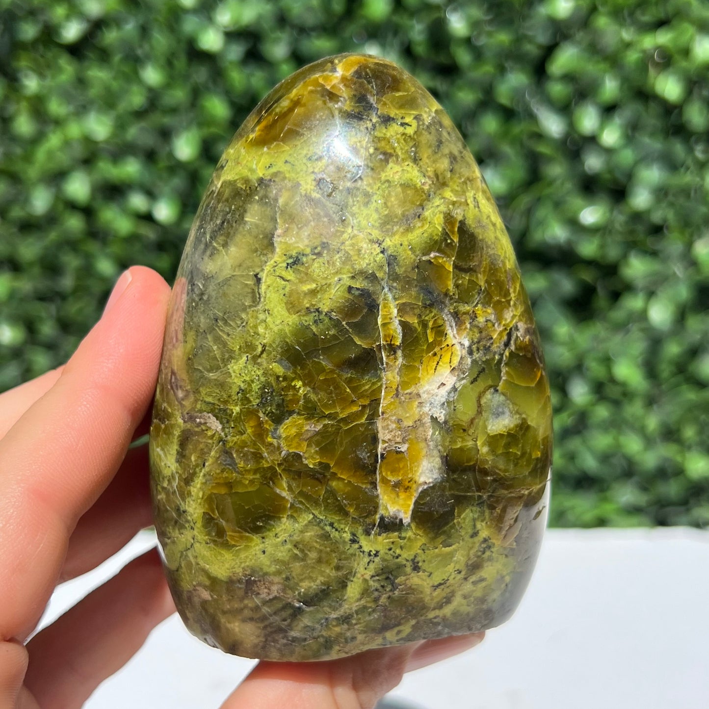 Kiwi Opal Free Form