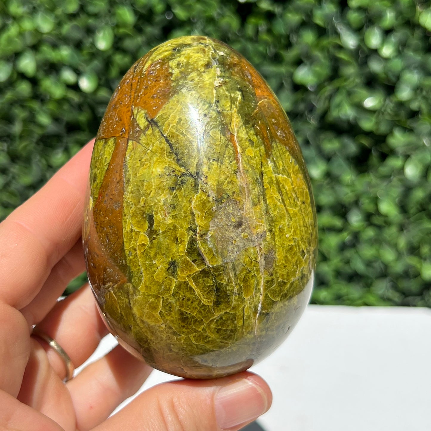 Kiwi Opal Egg