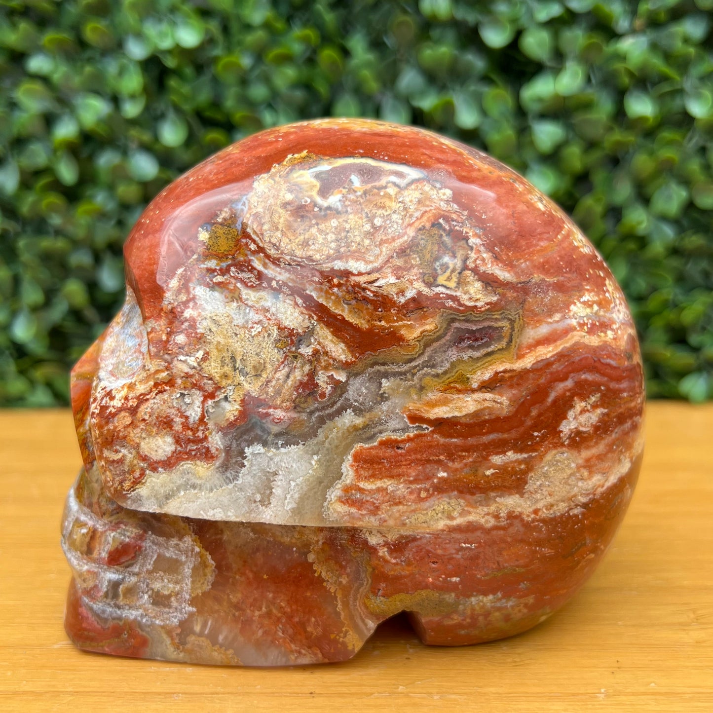 Ocean Jasper Skull