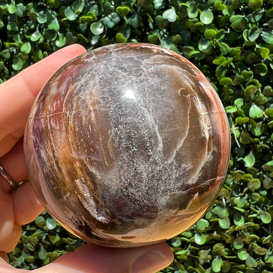 Petrified Wood Sphere